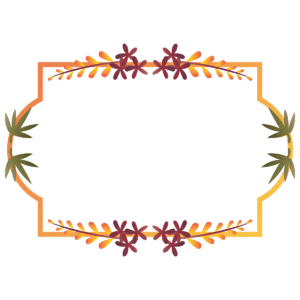 Flowers and Floral Frames png