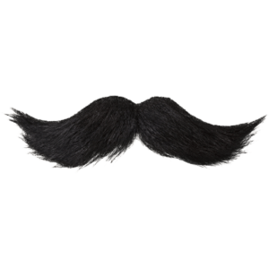 Moustache-png transparent free hd download