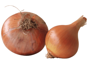 Onions Png Clip Art, Onions, Onions Transparent Png, Onions png transparent background, free download, lear Onions png, Onions png hd,