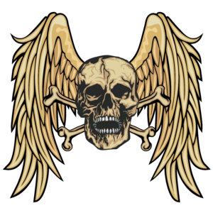 grunge skull wings png transparent hd download