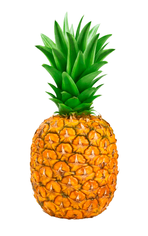 Pineapple Clipart PNG Transparent